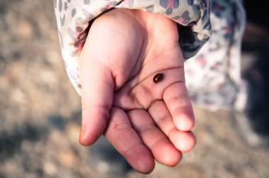 elinde uğur böceği