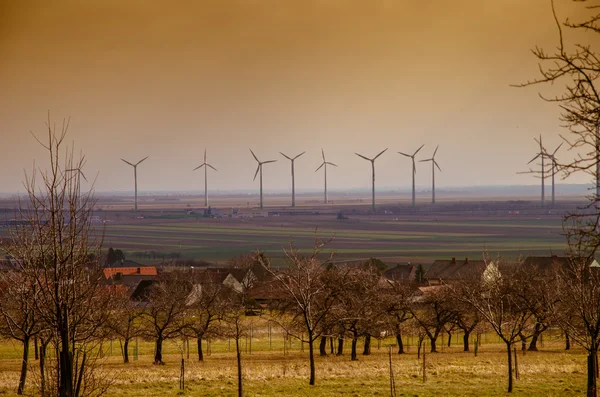 Viñedo de primavera y molinos de viento —  Fotos de Stock