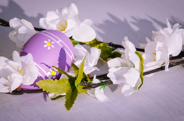 Œuf de Pâques violet — Photo