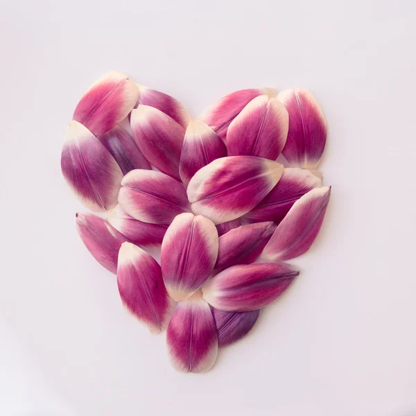 Srdce z květů — Stock fotografie