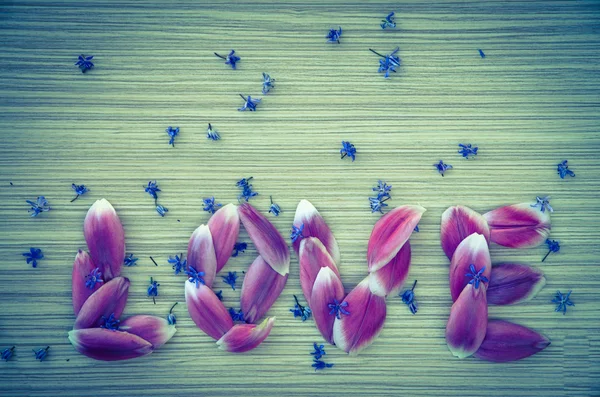 Woord Love van bloemblaadjes — Stockfoto