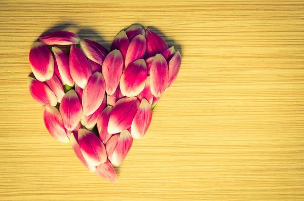 Corazón de pétalos de flores — Foto de Stock