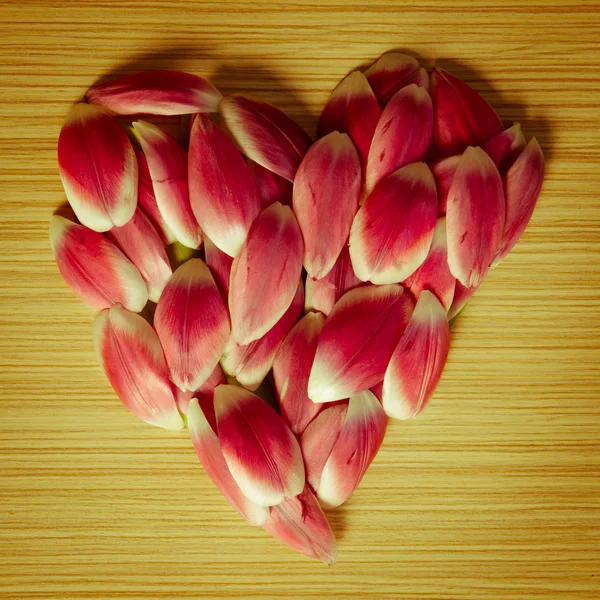 Corazón de pétalos de flores — Foto de Stock