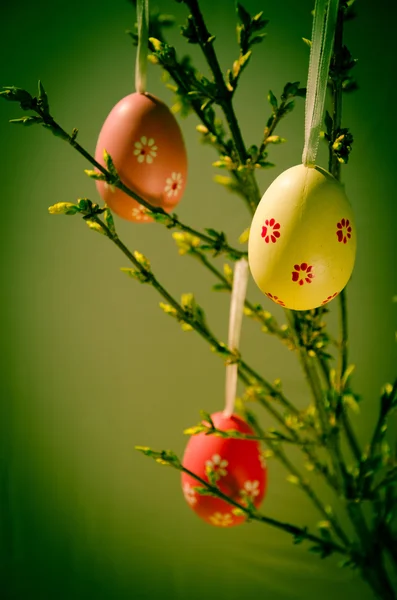 Decoración huevos de Pascua — Foto de Stock