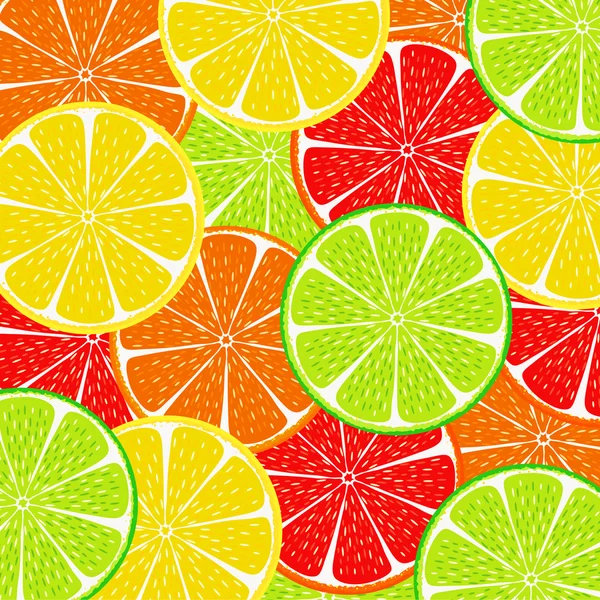 Citrus slice background — Stock Vector