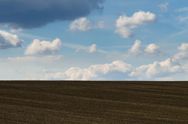 Сельскохозяйственное поле и небо — стоковое фото
