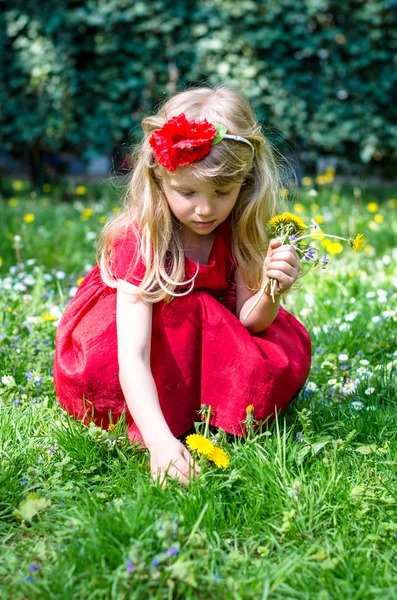 Блондинка дівчина збирає квіти — стокове фото