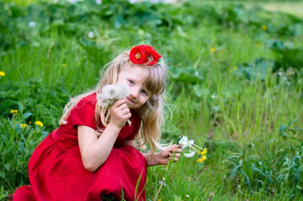 Blond girl picking dandelions — Stock Photo, Image