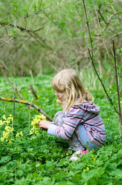 Girl picking cowslip flower — Stock Photo, Image