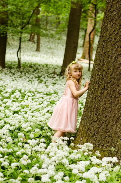 Menina bonita na primavera forrest — Fotografia de Stock