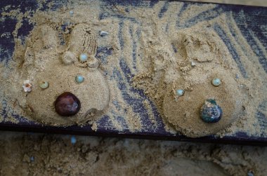 tavşan kum üzerinden