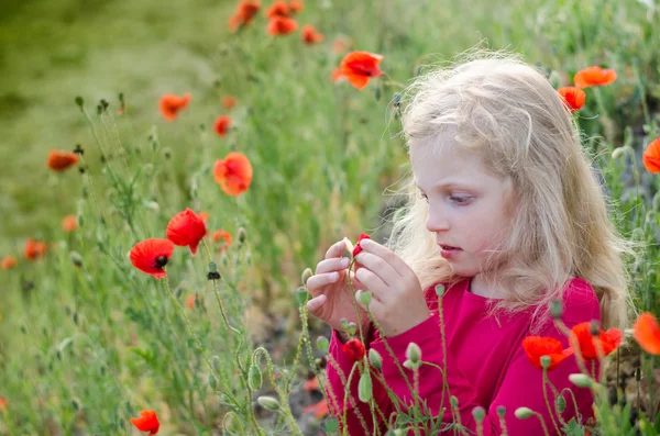 Criança loira com flores de papoula — Fotografia de Stock