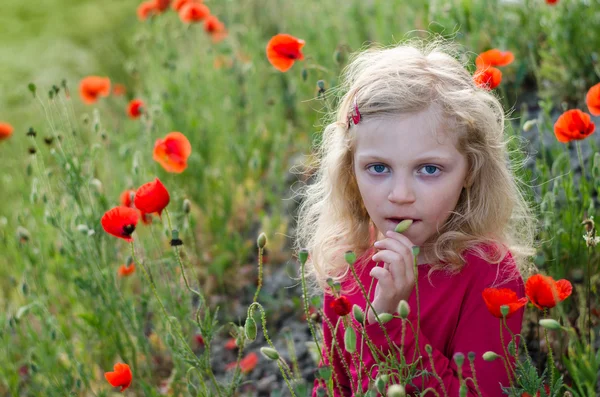 Menina em flores vermelhas — Fotografia de Stock
