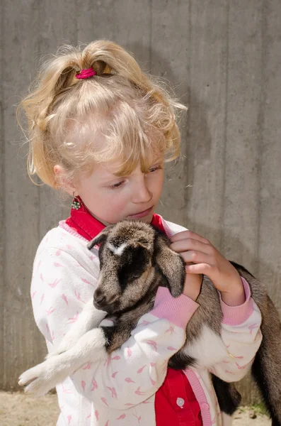 Kız holding keçi — Stok fotoğraf