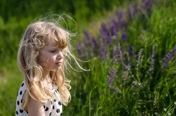 Schönes blondes Kind auf der Wiese — Stockfoto