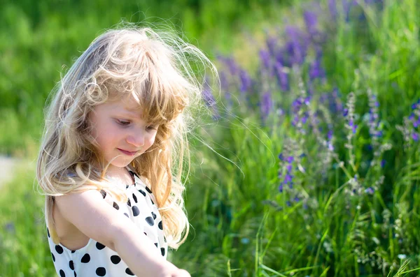 Blond kid in meadow — Stock Photo, Image