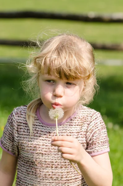 Niño soplando diente de león —  Fotos de Stock