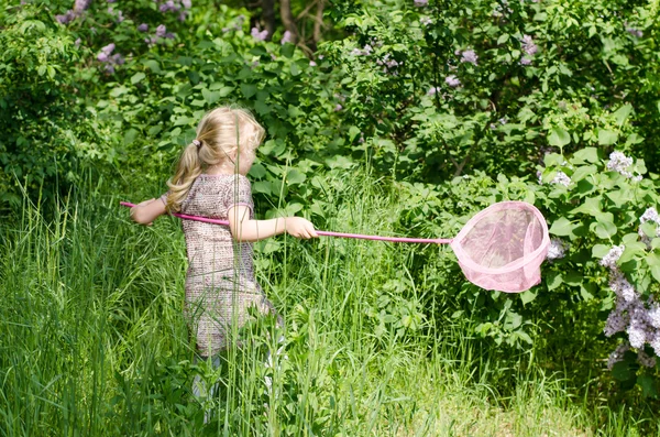 Girl with net for butterflies — Stock Photo, Image