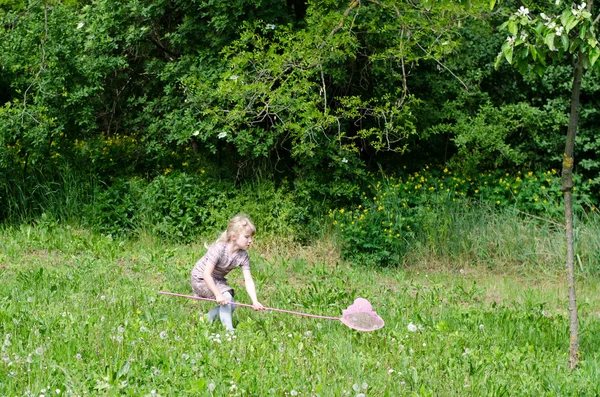 Girl with net for butterflies — Stock Photo, Image