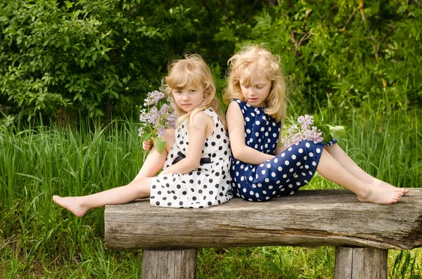 Girl in meadow on bench — Stock Photo, Image