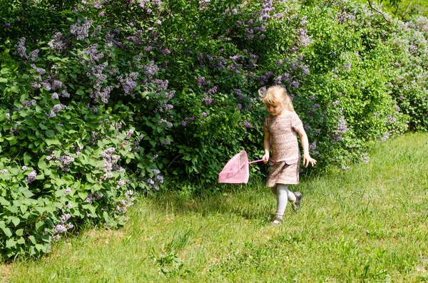 Kız alıcı kelebekler