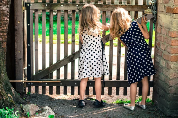 Two blond curious girls — Stock Photo, Image