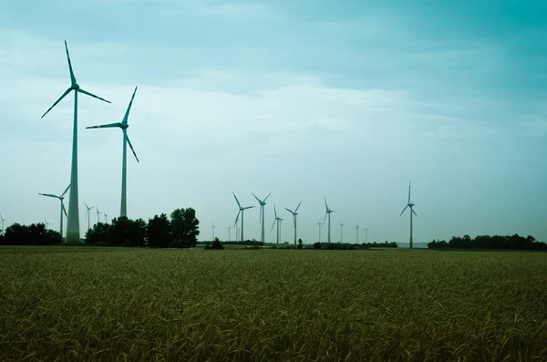 Пшеничне поле та вітроенергетичні установки — стокове фото