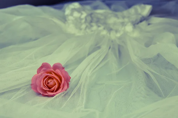 Vestido de noiva com rosa — Fotografia de Stock