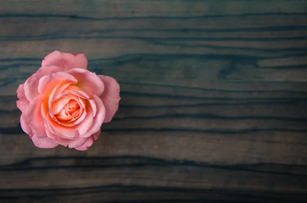 Rosa sobre fondo de madera — Foto de Stock
