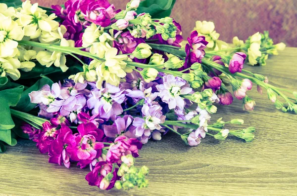 Flowers — Stock Photo, Image