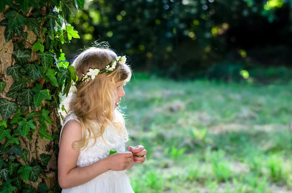 Beautiful fairy princess — Stock Photo, Image