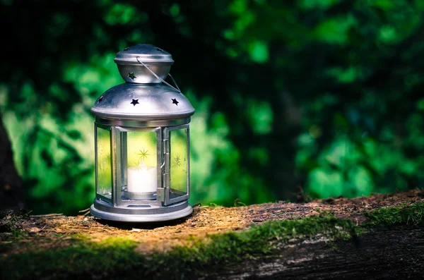 Gloeiende lantaarn in bos — Stockfoto