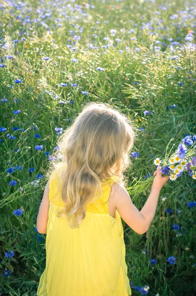 Beautiful girl back view — Stock Photo, Image