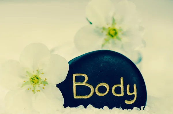 Body word — Stock Photo, Image