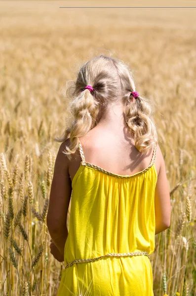 Bambino nel campo di segale — Foto Stock