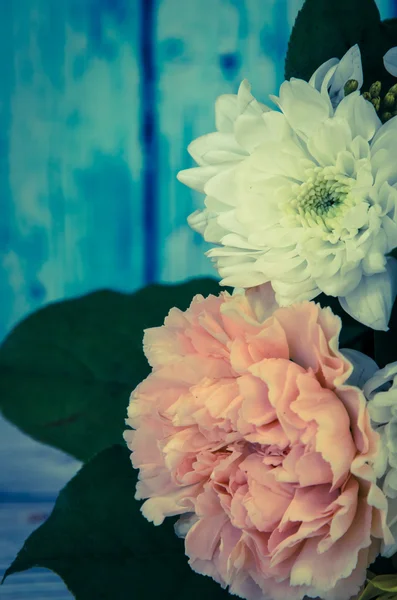 Beyaz kasımpatı çiçeği ve pembe karanfil çiçek — Stok fotoğraf