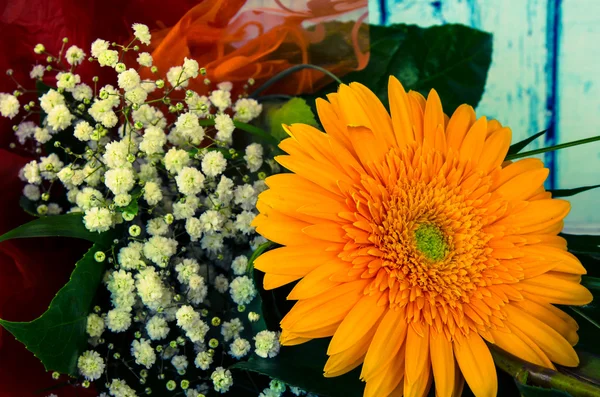 Orange chrysanthemum flower — Stock Photo, Image