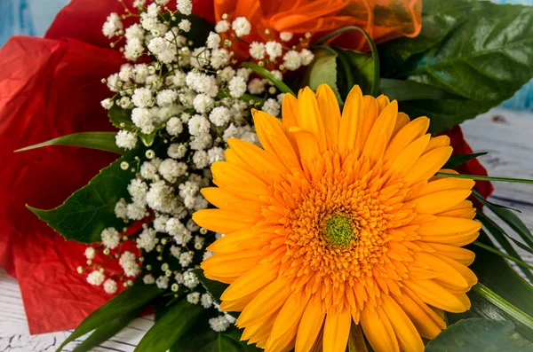 Orange Chrysanthemenblüte — Stockfoto