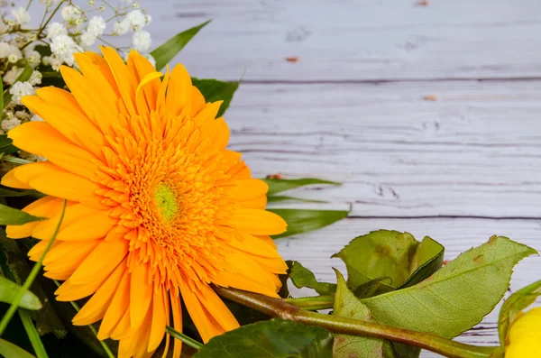 Orange Chrysanthemenblüte — Stockfoto