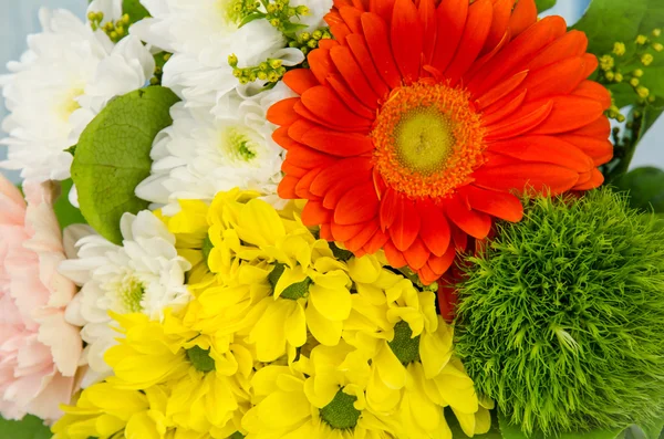 Colorful bunch of flowers Stock Image