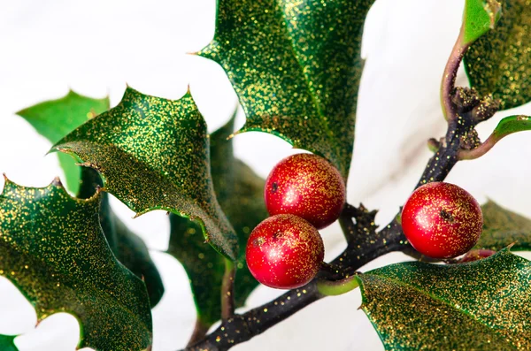 Concepto de acebo de Navidad — Foto de Stock