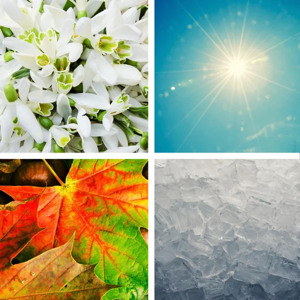 Four season concept — Stock Photo, Image