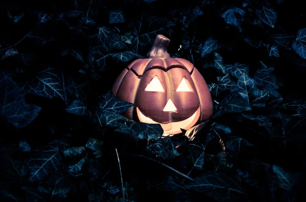 Citrouille d'Halloween — Photo