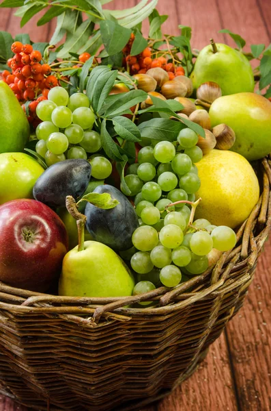 Apple, pear, plum, rowanberry and grape — Stock Photo, Image