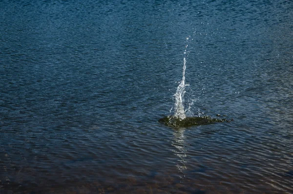 Salpicadura de agua —  Fotos de Stock