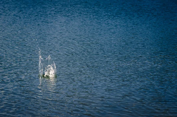 Splash of water — Stock Photo, Image