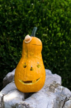 Cadılar Bayramı Balkabağı