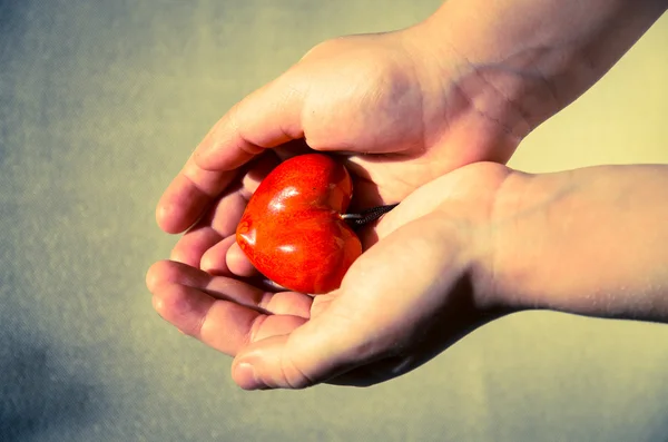 Coeur dans les mains — Photo