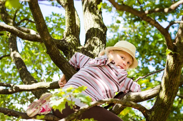 Chica en árbol superior —  Fotos de Stock