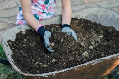 Eldivenli eller ve organik toprak